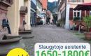Slaugytojo asistentė Vokietija-0