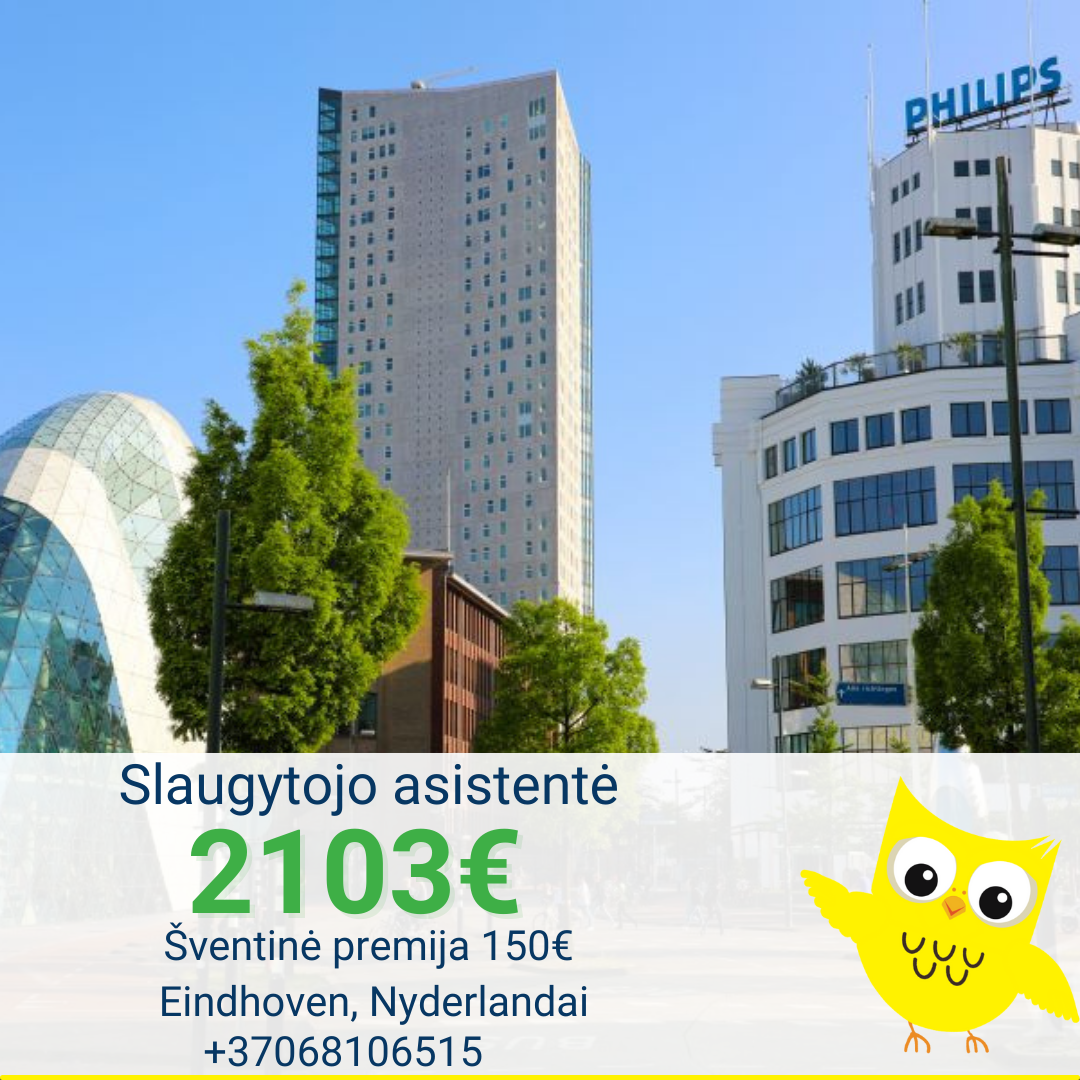 Darbas slaugytojo asistentėi  Nyderlandai-0