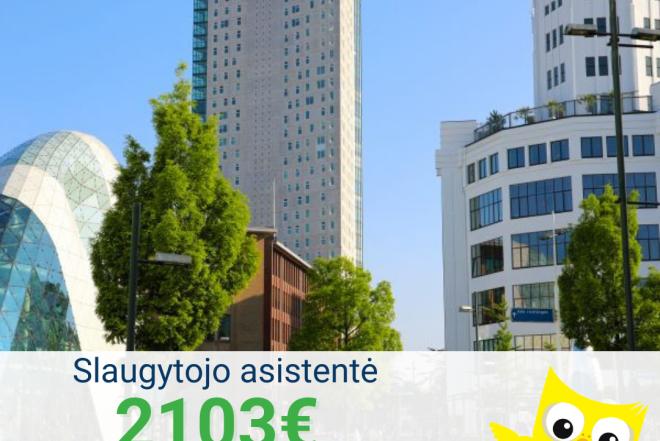 Darbas slaugytojo asistentėi  Nyderlandai-0