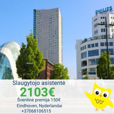 Darbas slaugytojo asistentėi  Nyderlandai-0