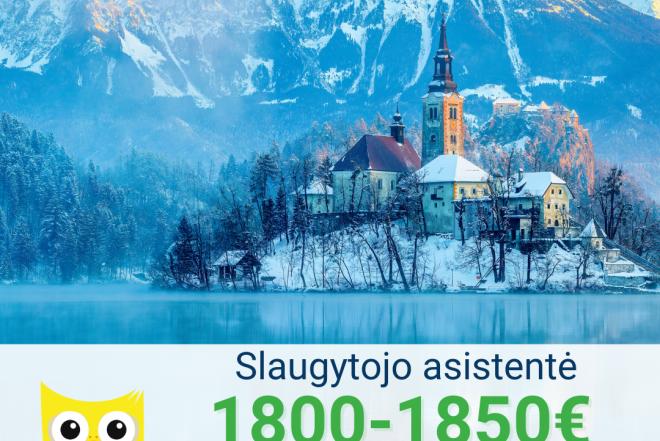 Slaugytojo asistentė Vokietija-0
