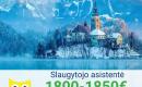 Slaugytojo asistentė Vokietija-0