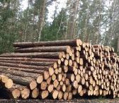 Perku statų mišką išsikirtimui-0