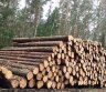 Perku statų mišką išsikirtimui-0