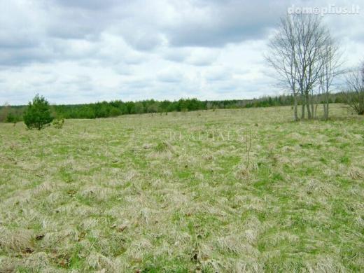 Parduodamas sklypas Švenčionių rajono sav., Ziboliškėje-1