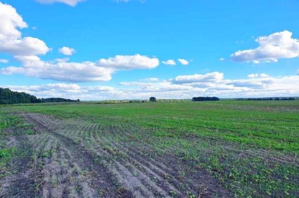 Parduodamas 3,78 ha žemės  sklypas šalia Jauniūnų, Žarnavagių k.,  Širvintų raj.-1