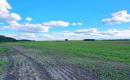 Parduodamas 3,78 ha žemės  sklypas šalia Jauniūnų, Žarnavagių k.,  Širvintų raj.-1