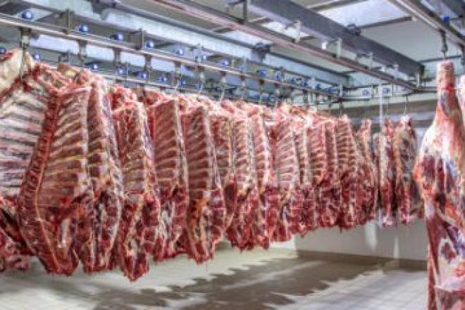 Darbas Danijoje – mėsos išpjaustymas fabrike-0