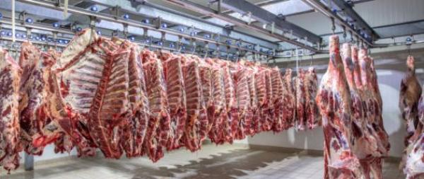 Darbas Danijoje – mėsos išpjaustymas fabrike-0