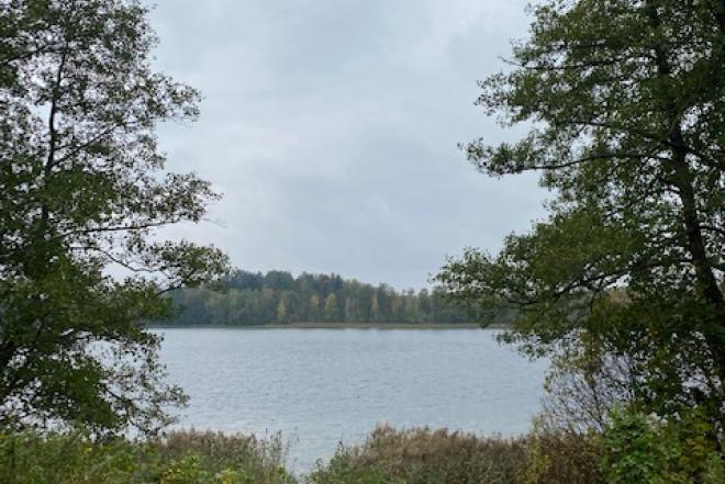 žemės sklypas ant ežero kranto-0