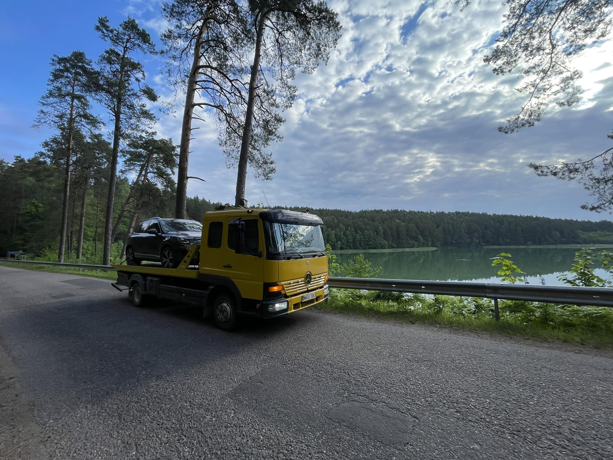 Traliukas Vilniuje-0