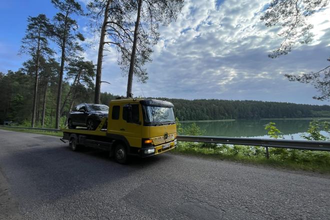 Traliukas Vilniuje-0