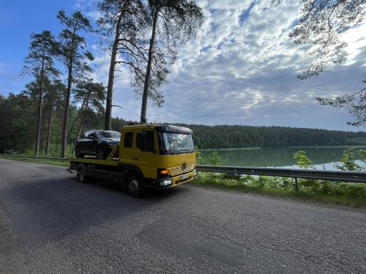 Traliukas Vilniuje-0