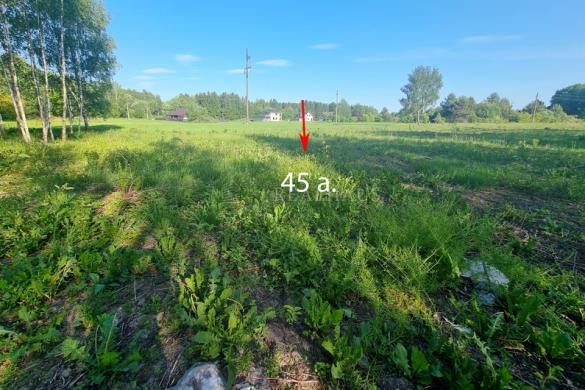 Sukurkite savo rojaus kampelį 45a. žemės sklypas Šalčininkuose!-1