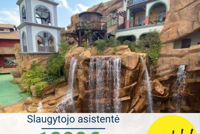 Slaugytojo asistentė Vokietija-0