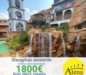 Slaugytojo asistentė Vokietija-0