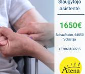 Slaugytojo asistentė Vokietija-0