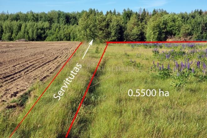 Vilniaus r. sav., Parudaminio k., žemės ūkio paskirties sklypas-0