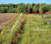 Vilniaus r. sav., Parudaminio k., žemės ūkio paskirties sklypas-0