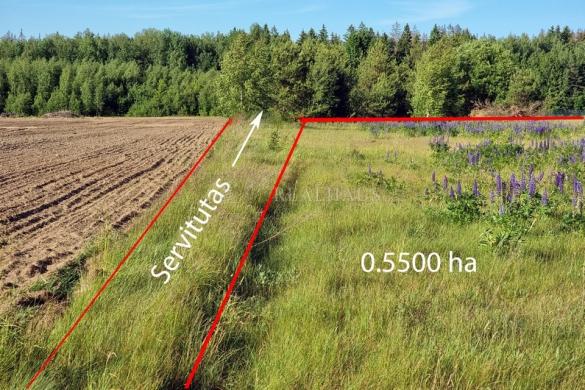 Vilniaus r. sav., Parudaminio k., žemės ūkio paskirties sklypas-0