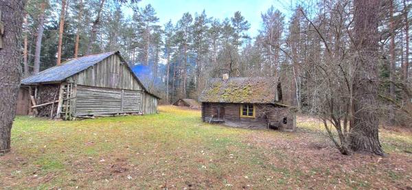 Druskininkų sav., Drapalių k., Žvyro g. 10-1