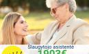 Slaugytojo asistentė Vokietija-0