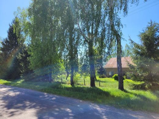 ŠAKIŲ R. SAV. ŠILGALIŲ K., P. BŪČIO G. 8-1