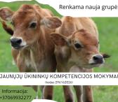 Jaunųjų ūkininkų kompetencijos mokymai❗️❗❗-0