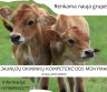 Jaunųjų ūkininkų kompetencijos mokymai❗️❗❗-0