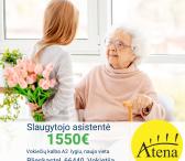 Slaugytojo asistentė Vokietija-0