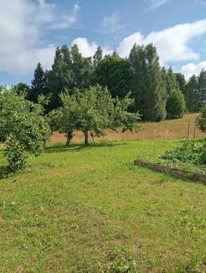 Parduodamas namas su 5 ha žemės ir 1,4 ha miško-1