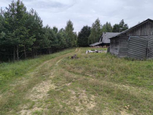Parduodama sodyba Alytaus r. Butrimonių sen. Beržinės k.-1
