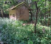 Parduodamas 3 arų sklypas šalia Platelių ežero. Plungės raj. Paplatelių k. Plokštinės g.-0
