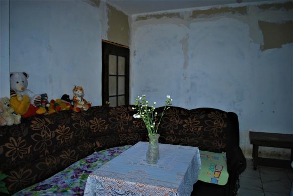 Žirgynas Jonavos rajone-4