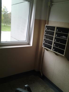 Parduodu 4k. butą Akmenės m.-4