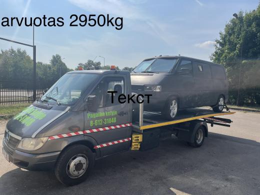 Traliukas pagalba kelyje-4