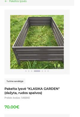 Pakelta lysve-4