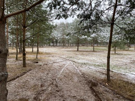 Apleistų sklypų valymas!-4