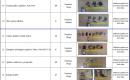 Įvarus turtas (tvoros detalės)-4