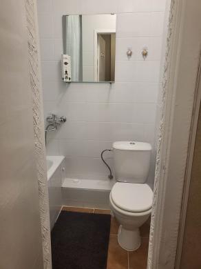 IŠNUOMOJAMAS 1 KAMBARIO BUTAS NAUJININKUOSE-4