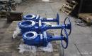 Gate valve 30нж42нж Dn 200 Pn 10-4