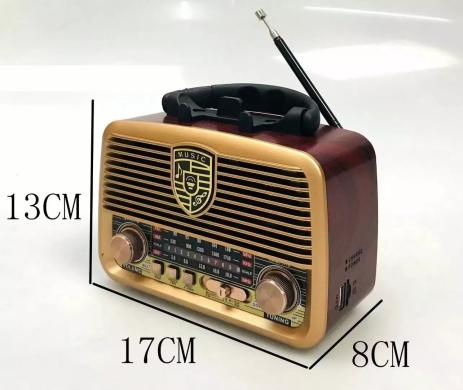 RX-BT1110 nešiojamas namų radijas-2