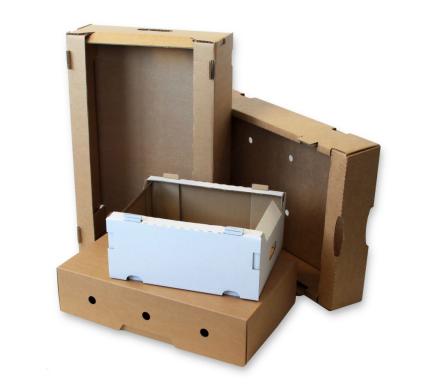 Gofro kartono produkcija-3