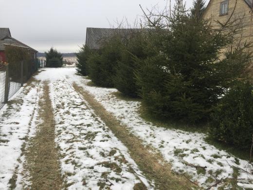 Parduodama autentiška sodyba Jurbarko r.-2