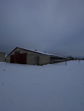statybinės medžiagos-2