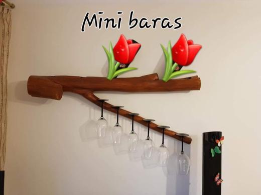 Mini baras-2