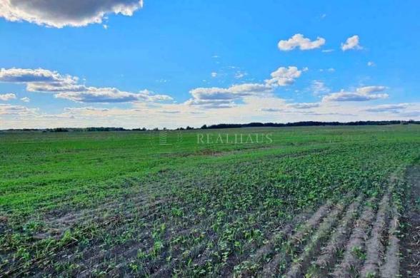 Parduodamas 3,78 ha žemės  sklypas šalia Jauniūnų, Žarnavagių k.,  Širvintų raj.-2