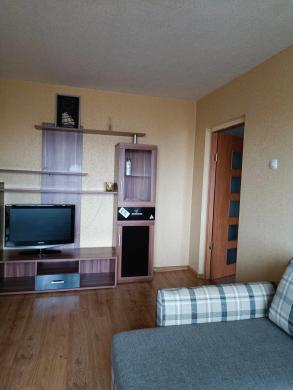 Išnuomojamas 1 kambario butas Klaipėdoje-2