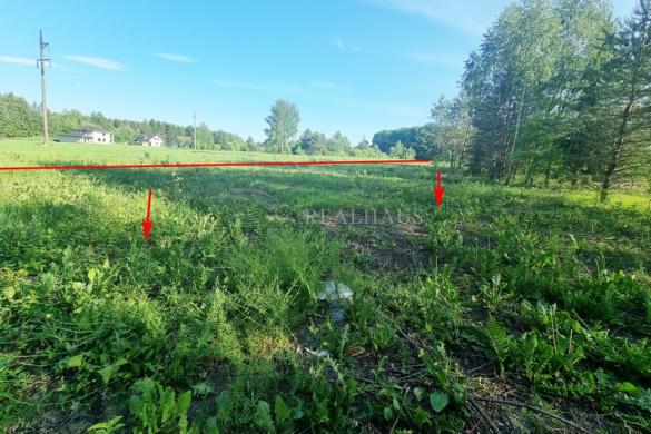Sukurkite savo rojaus kampelį 45a. žemės sklypas Šalčininkuose!-2