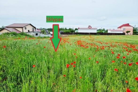 Vilniaus r. sav., Dūkštų k., Pijorų g., namų valdos paskirties sklypas-1